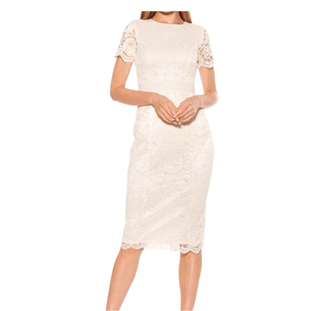 Alexia Admor white lace bodycon midi length dress Zipper closure sz 8